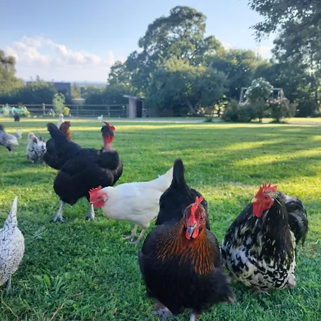 Independant Avec Vue Sur Mont St Michel Casa vacanze Lolif
