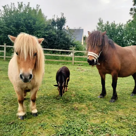 Independant Avec Vue Sur Mont St Michel *