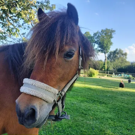 Casa vacanze Independant Avec Vue Sur Mont St Michel *