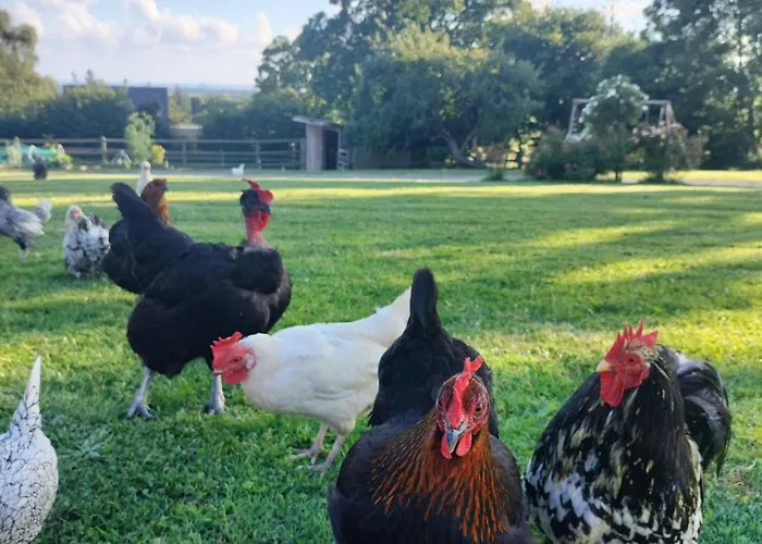 Independant Avec Vue Sur Mont St Michel Holiday home Lolif