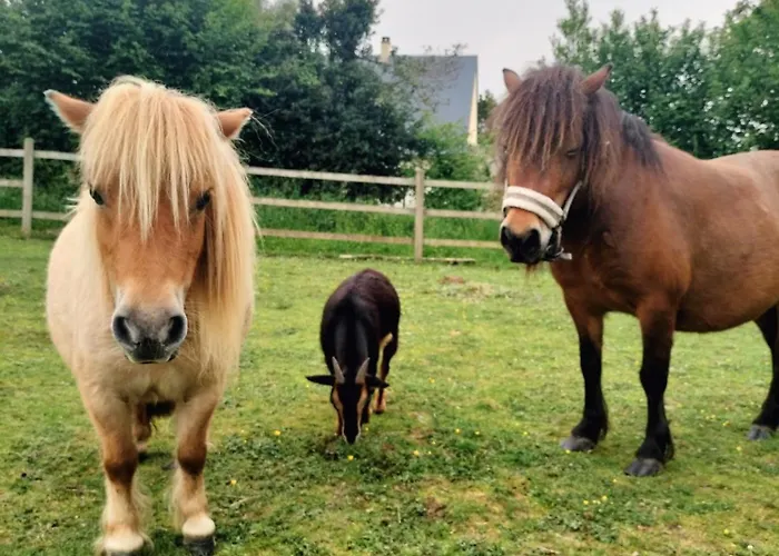 Independant Avec Vue Sur Mont St Michel *