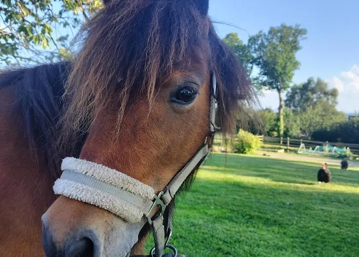 Holiday home Independant Avec Vue Sur Mont St Michel *